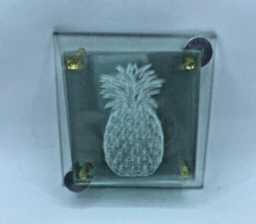 Glass coasters etched - glass,